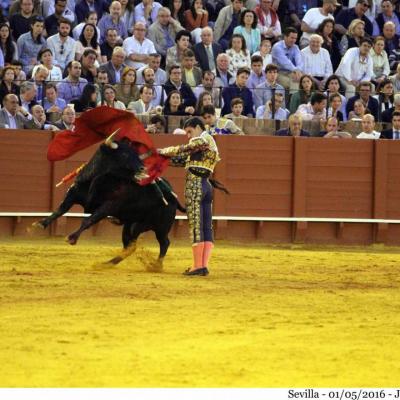 Seville : Dimanche 1 mai 2016