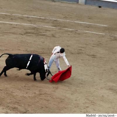 Vendredi 20 mai : Salut pour Garrido lors de sa confirmation