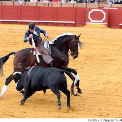 Seville : 10 Avril : Deux oreilles pour Diego Ventura