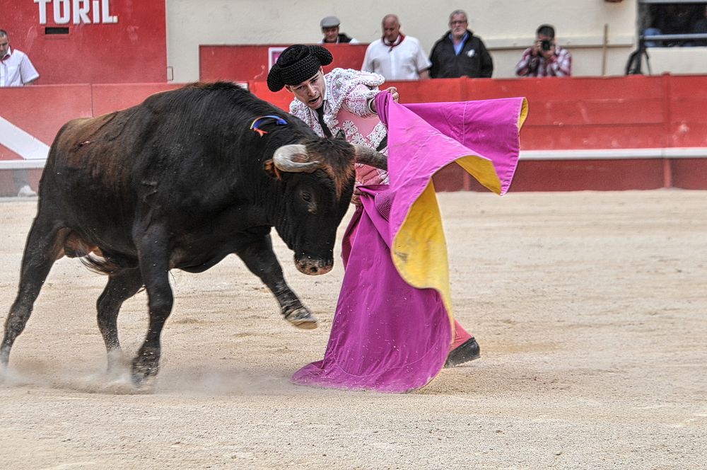 novales (96)