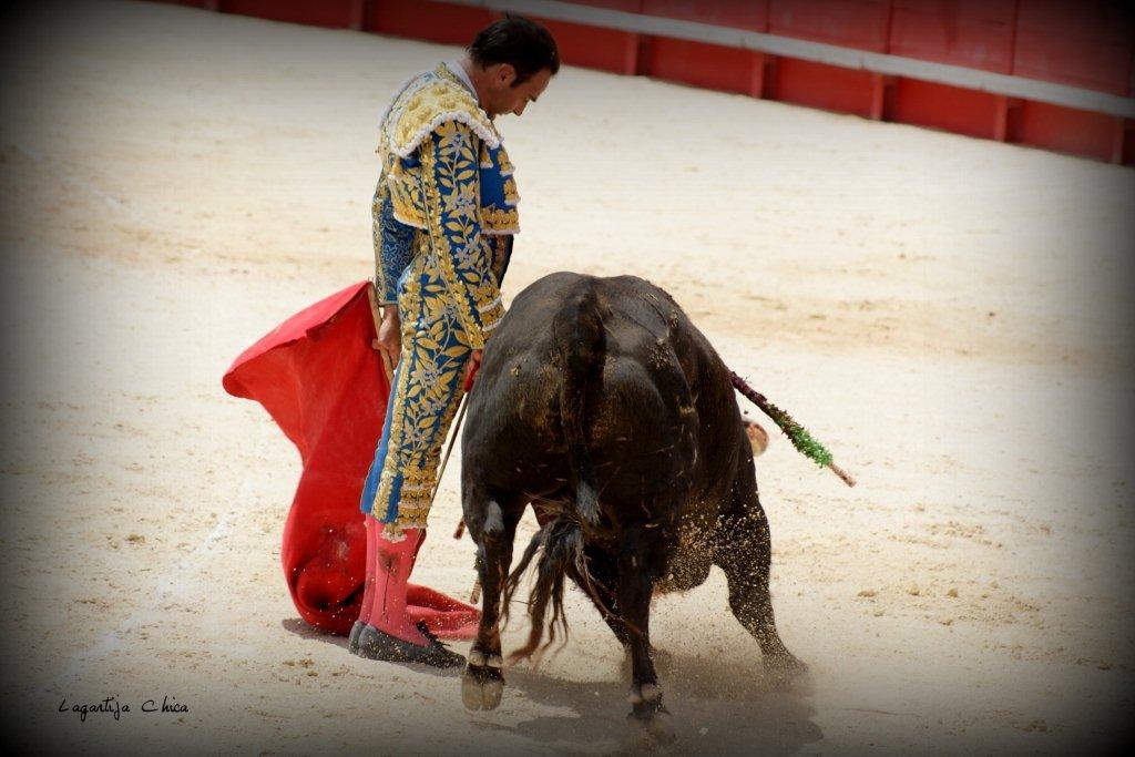 PONCE NIMES MAI 2015 08 (1)