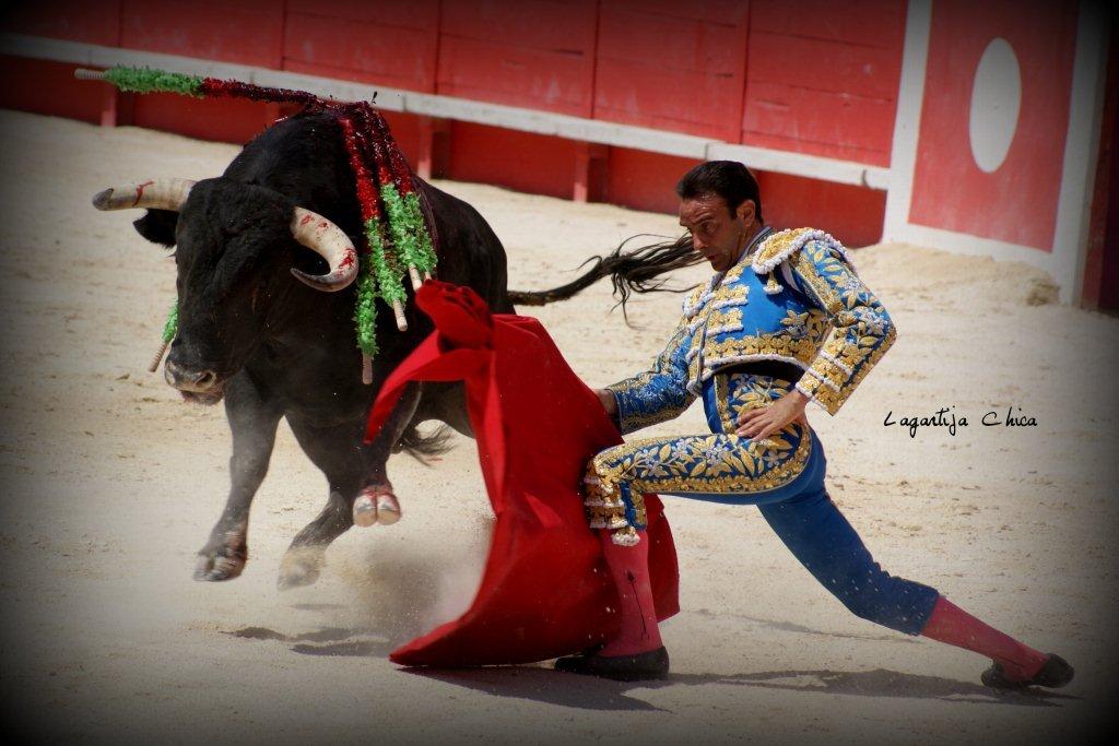 PONCE NIMES MAI 2015 14 (1)
