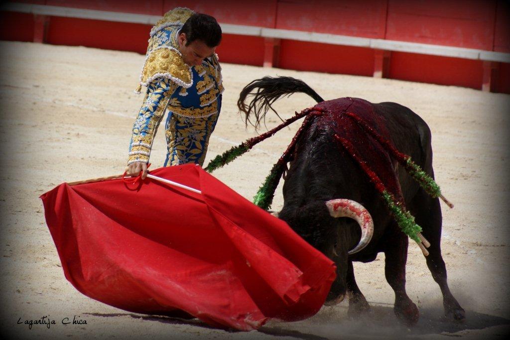PONCE NIMES MAI 2015 16 (1)