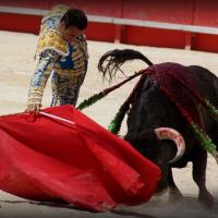 PONCE NIMES MAI 2015 16 (1)