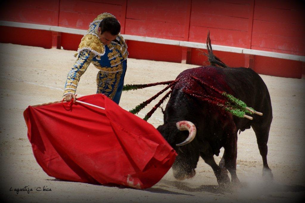 PONCE NIMES MAI 2015 17 (1)