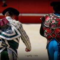 PONCE NIMES MAI 2015 2 (1)