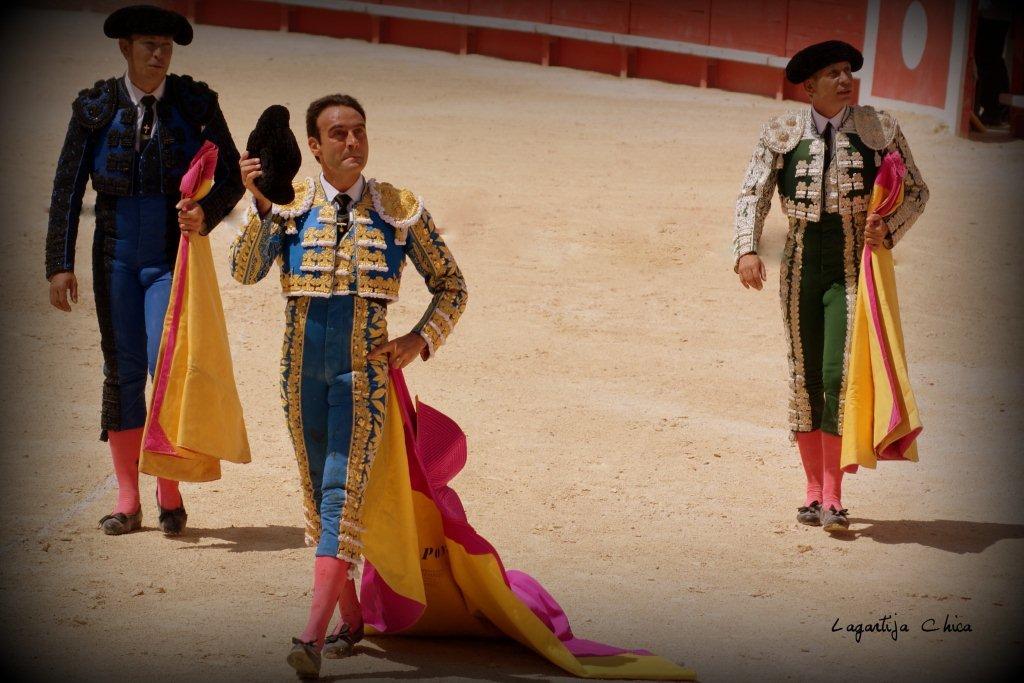 PONCE NIMES MAI 2015 20 (1)