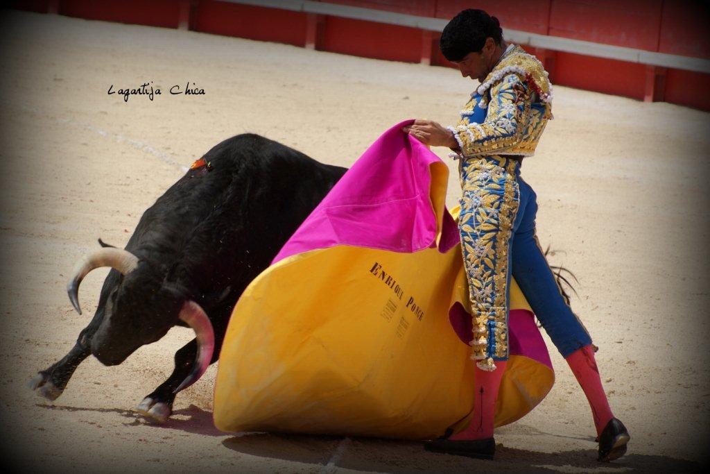 PONCE NIMES MAI 2015 23 (1)