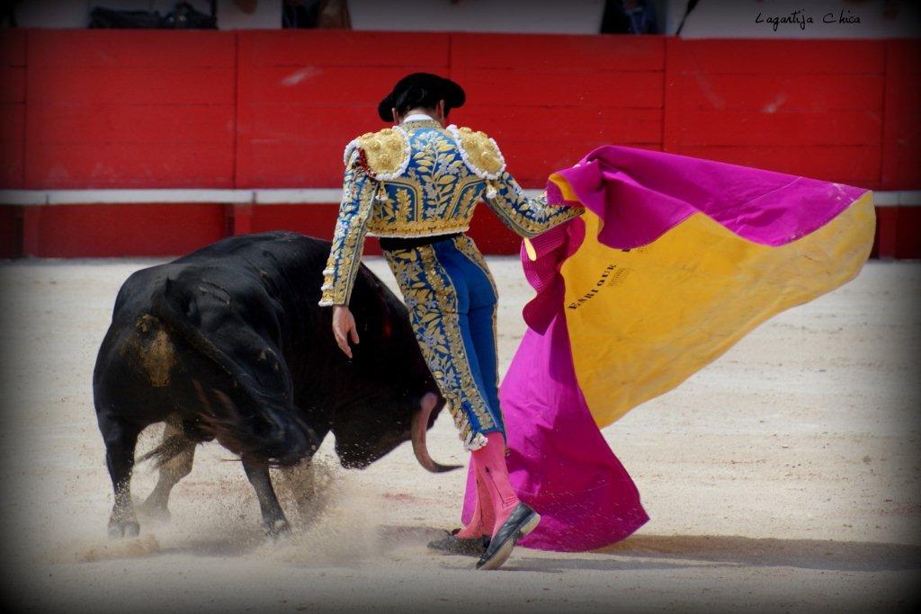 PONCE NIMES MAI 2015 25 (1)