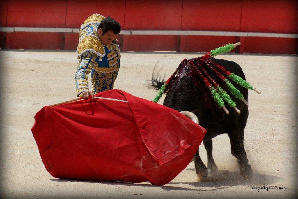 PONCE NIMES MAI 2015 26 (1)