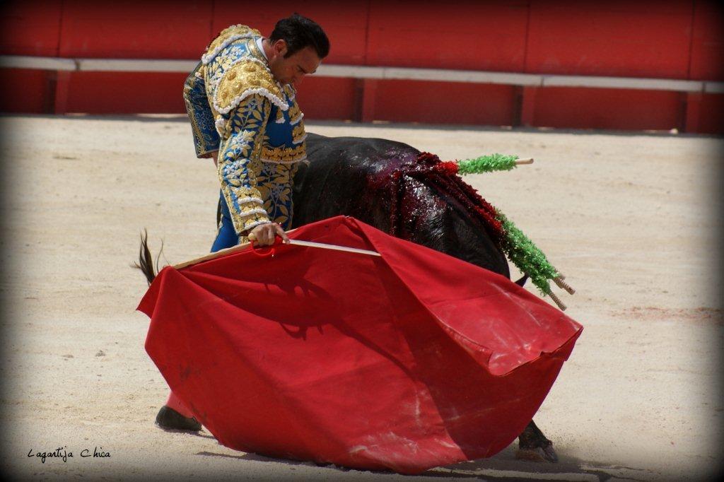 PONCE NIMES MAI 2015 28 (1)