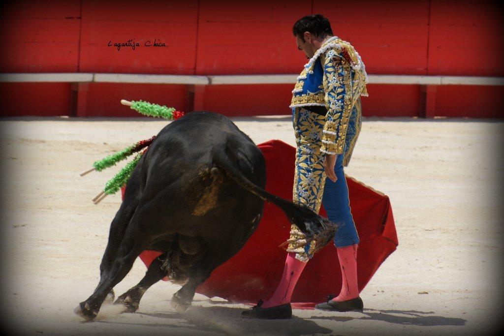 PONCE NIMES MAI 2015 30 (1)