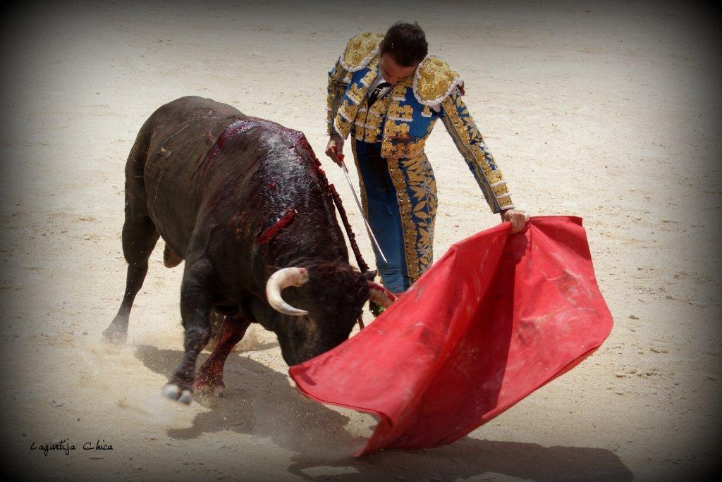 PONCE NIMES MAI 2015 67 (1)