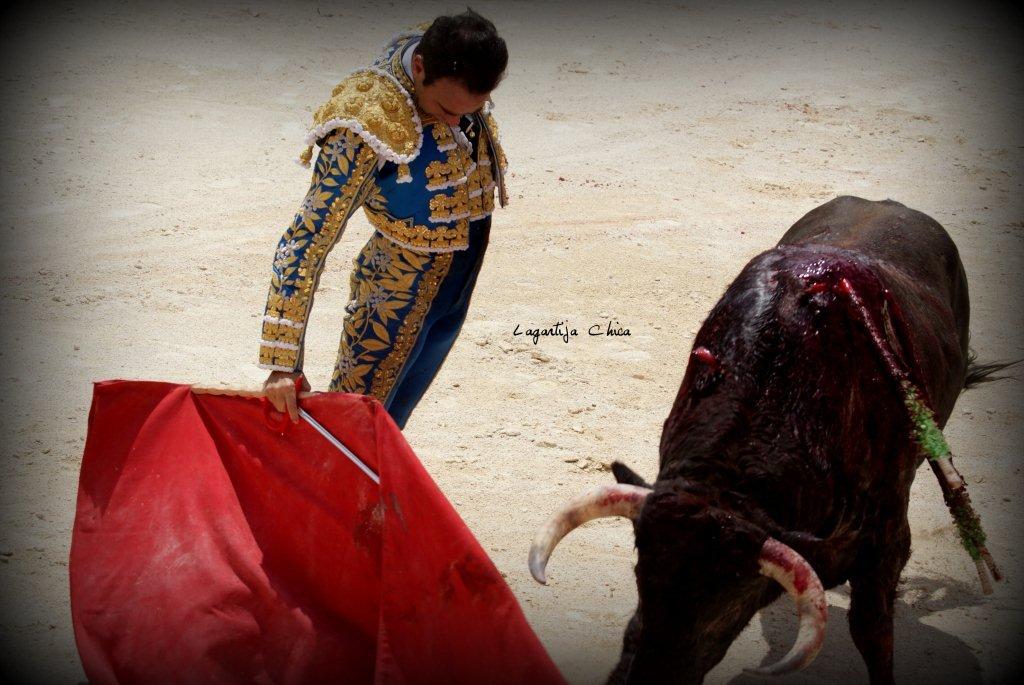 PONCE NIMES MAI 2015 73 (1)