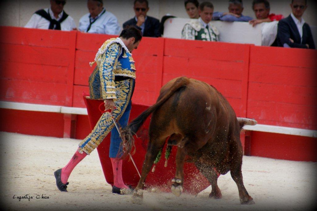 PONCE NIMES MAI 2015 82 (1)