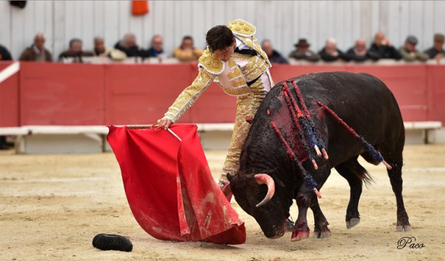 Torobravo - Andres Roca Rey 1