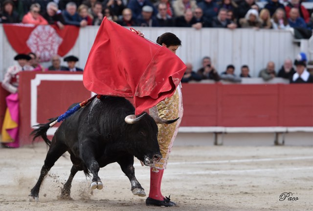 Torobravo - Andres Roca Rey 2