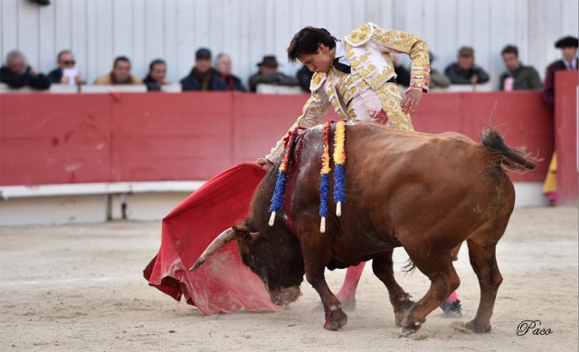 Torobravo - Andres Roca Rey 3