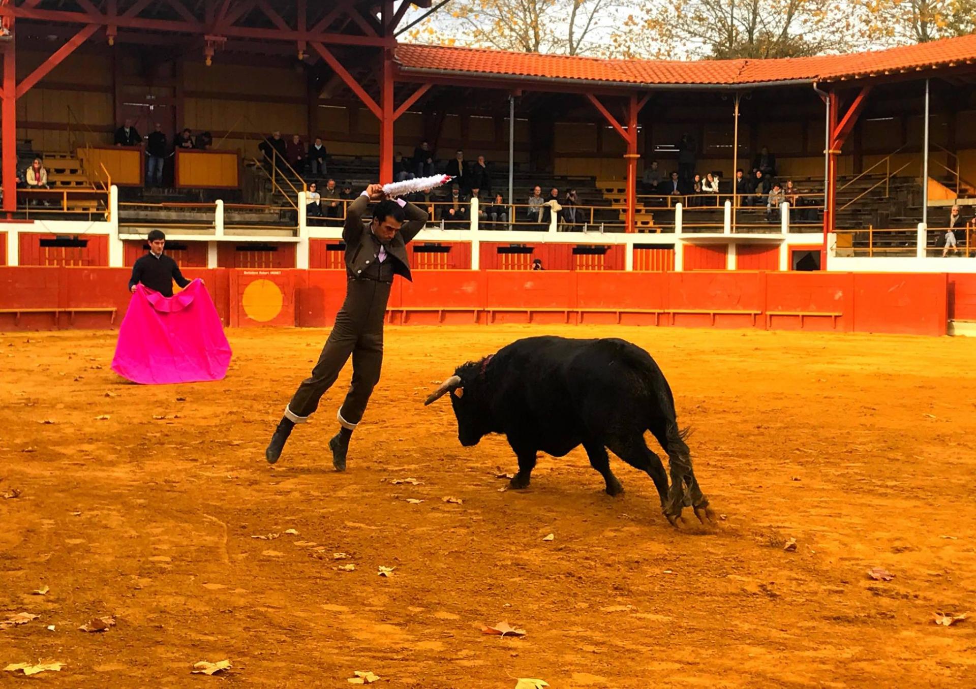 Morenito de Aranda banderilles