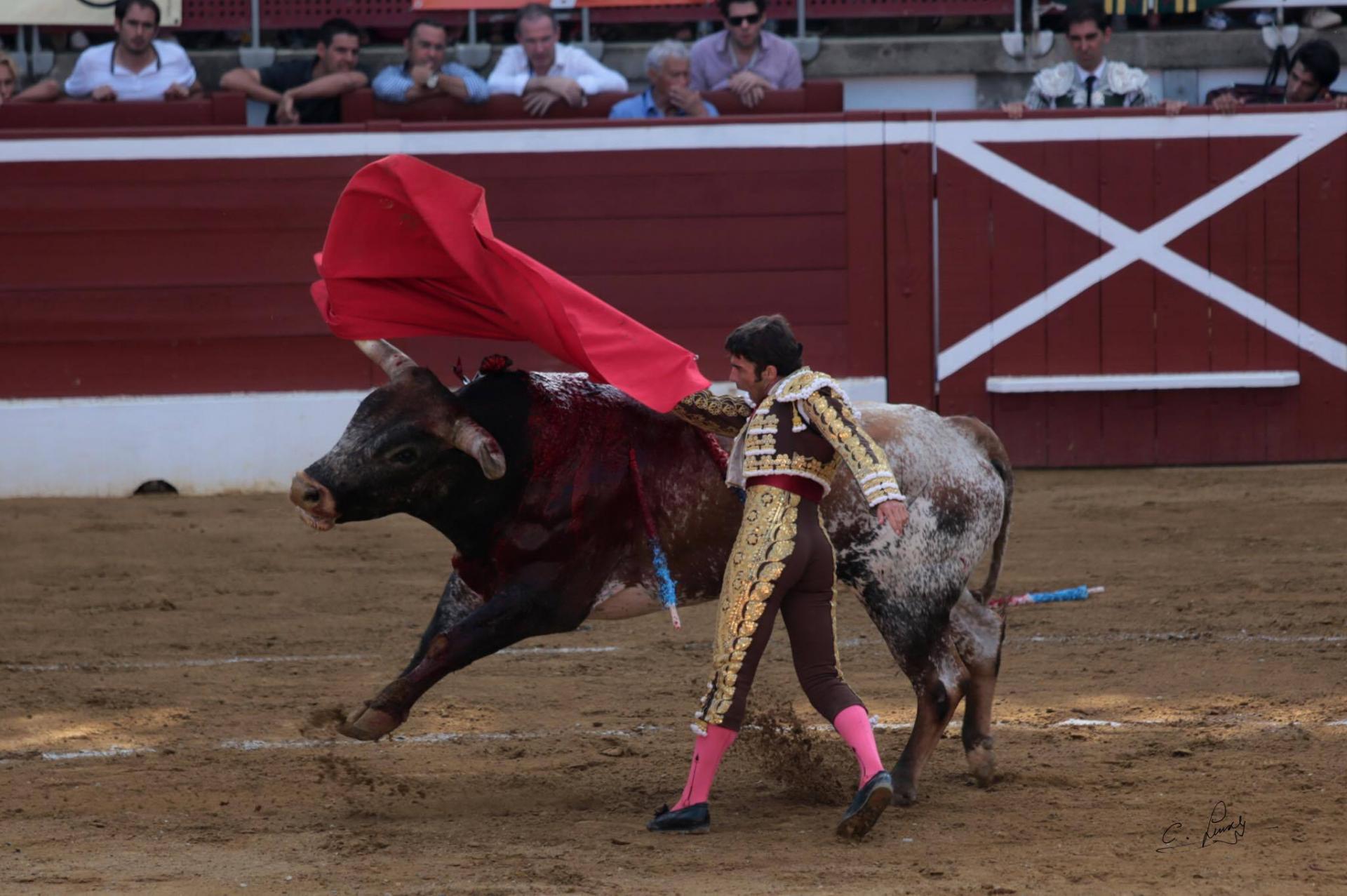 Fernando Robleño Mont de Marsan 2