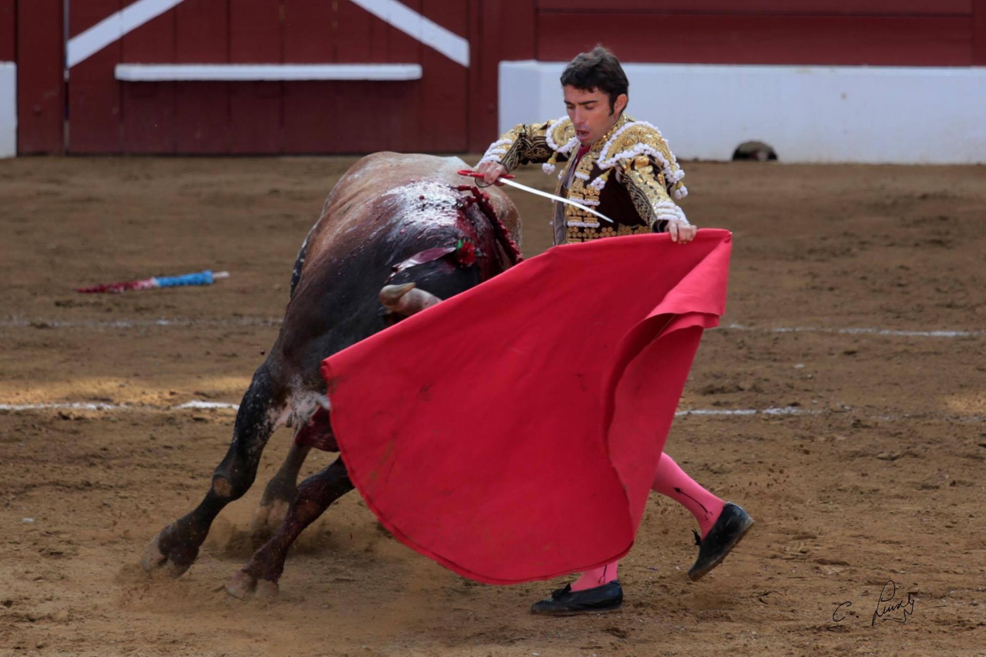 Fernando Robleño