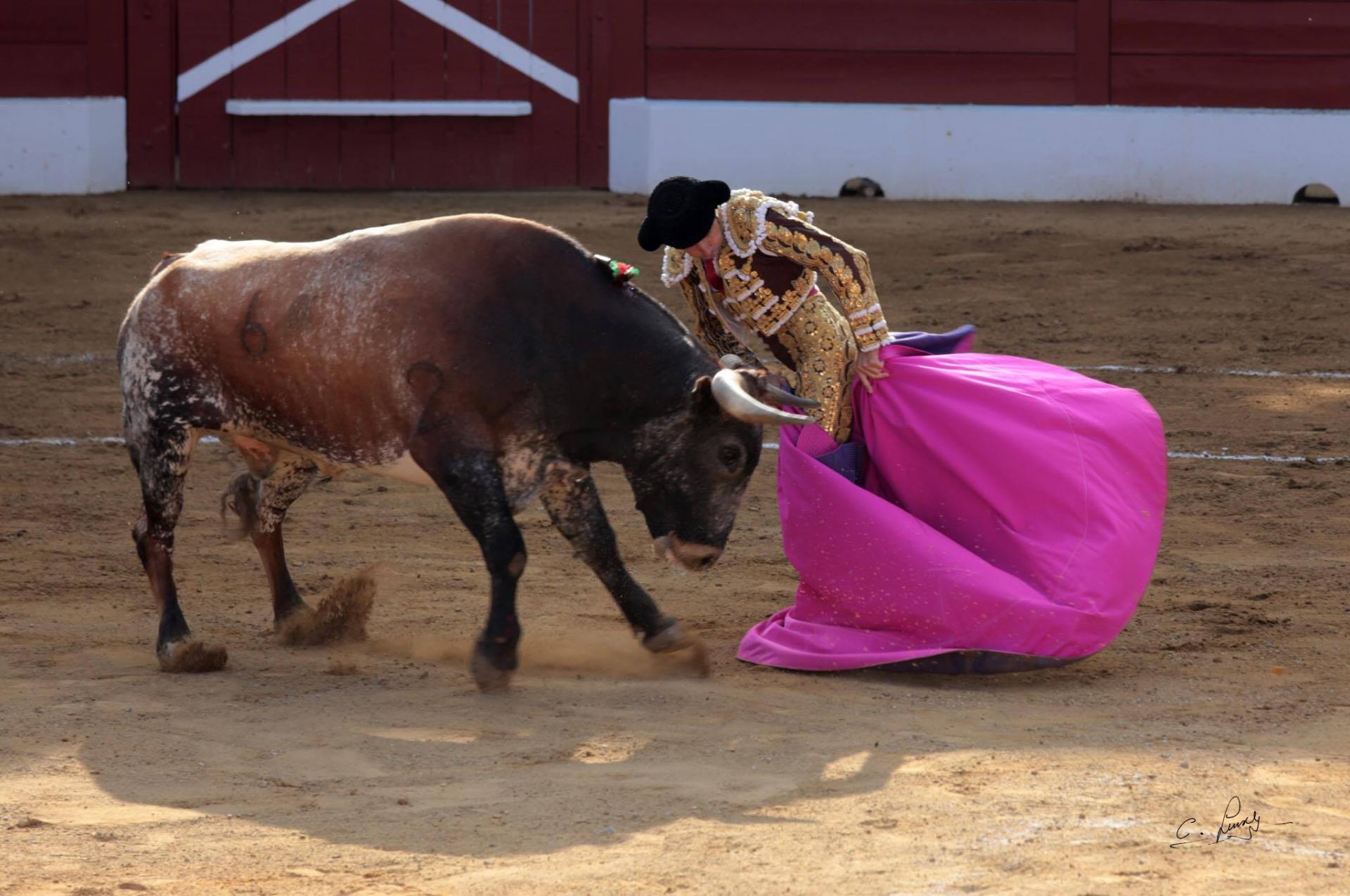 Fernando Robleño Mont de Marsan