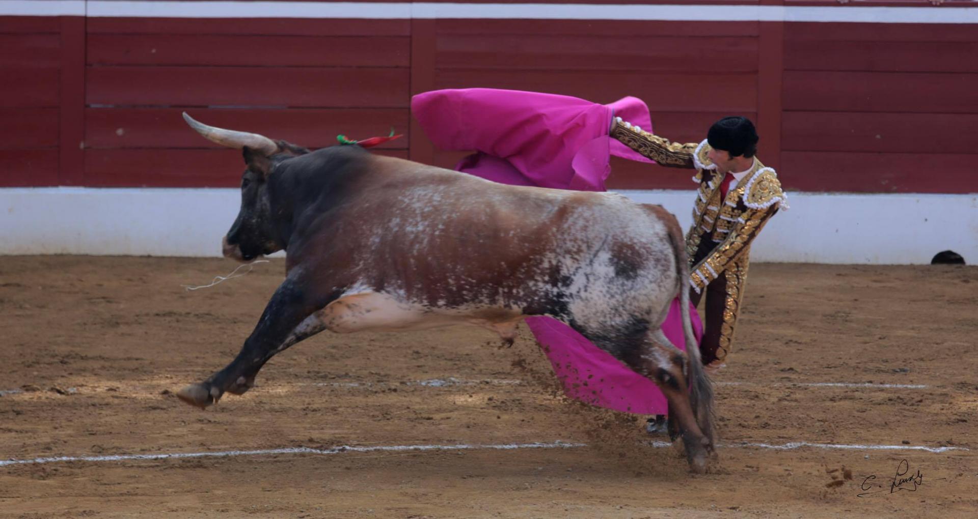 Fernando Robleño