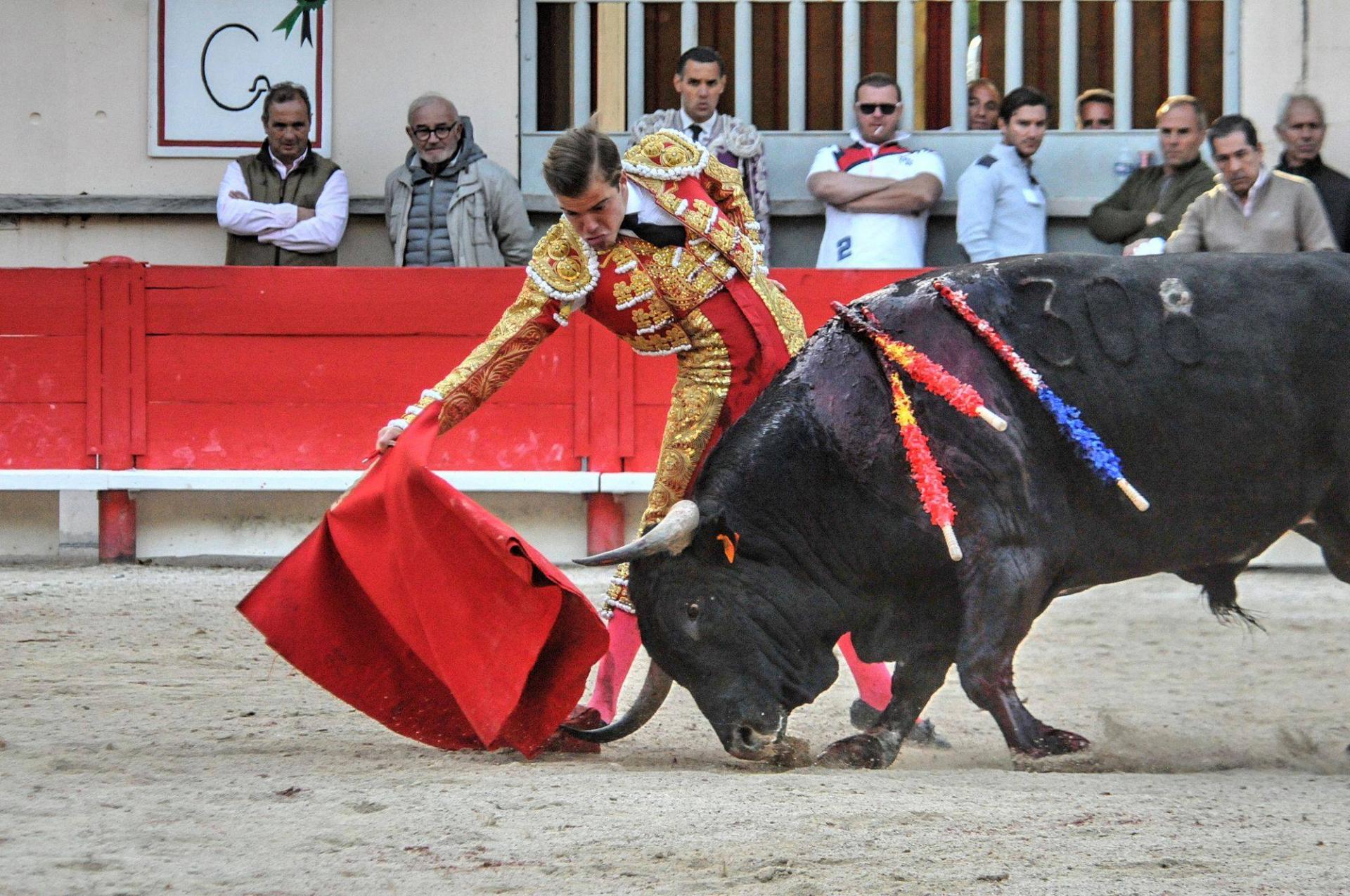 Javier Cortés St Martin de Crau