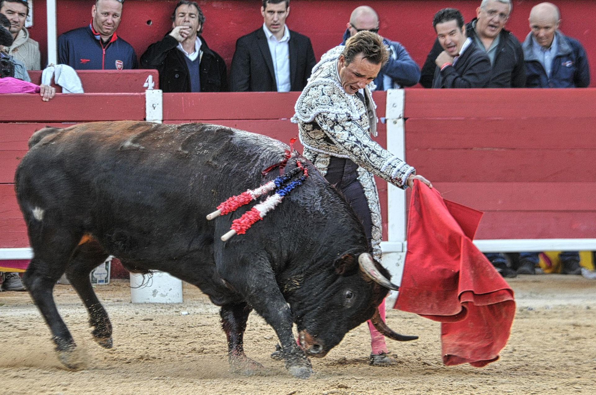 2016corridasamedipalavas 19