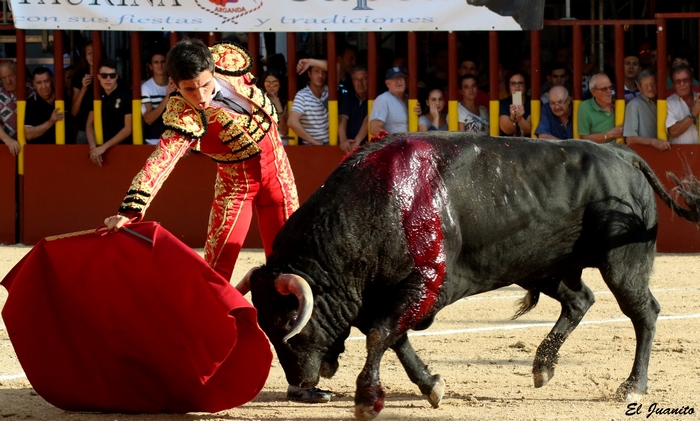 Adoureno arganda 2018