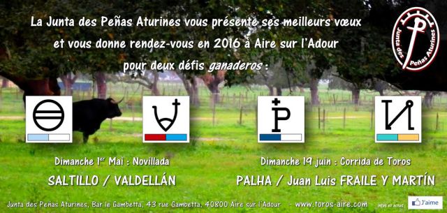 Aire sur adour 1