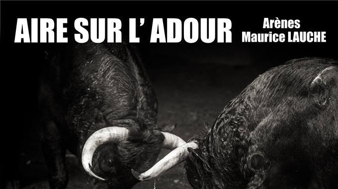 Aire sur adour affiche