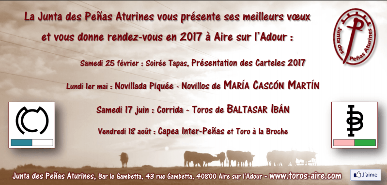 Aire sur adour