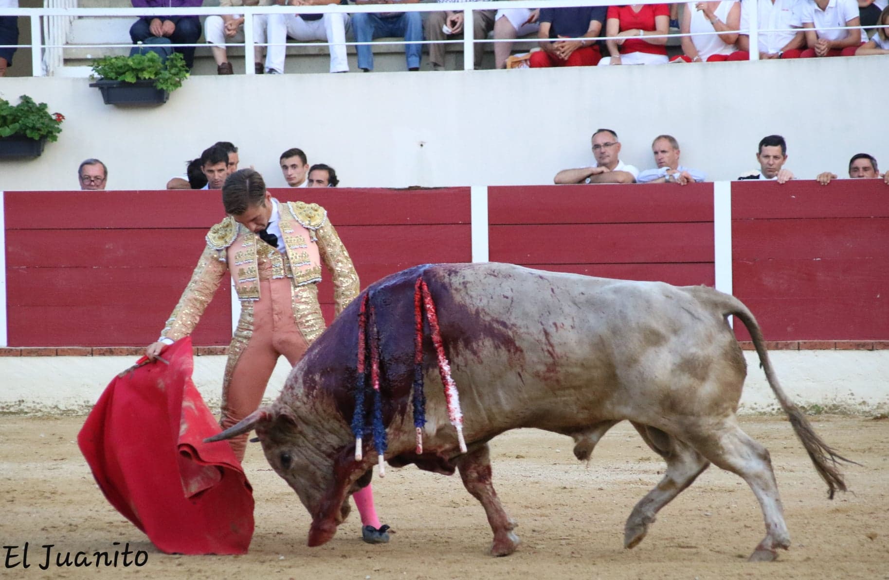 Alejandro mora garlin