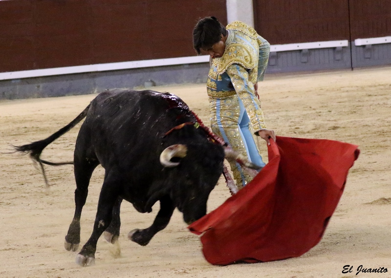 Angel tellez madrid 2018