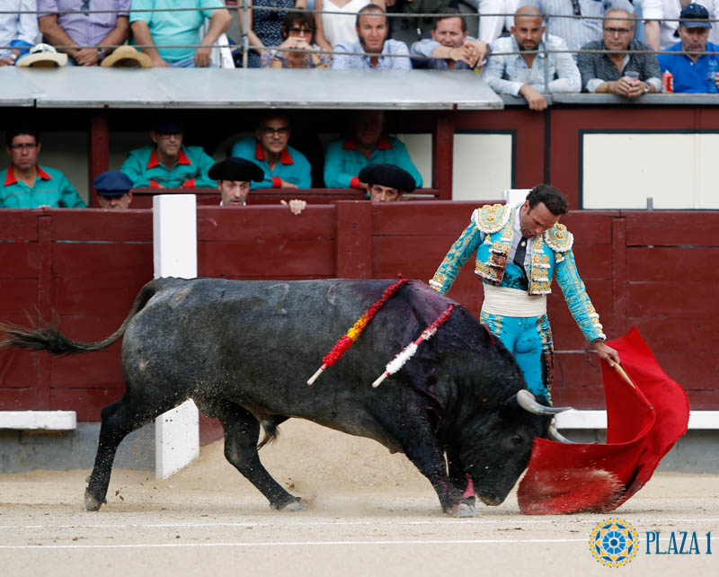 Antonio ferrera las ventas