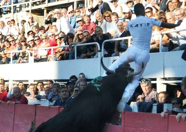 Arles course camarguaise 2