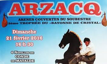 Arzacq affiche