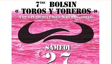 Bolsin 22toros y toreros 22 affiche