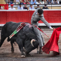 Andrés Roca Rey Bilbao festival