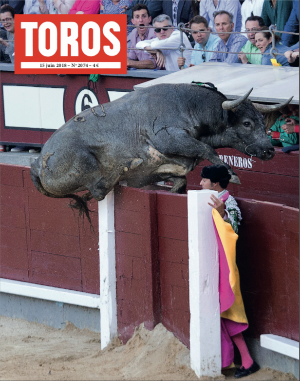 TOROS 2074