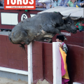 TOROS 2074