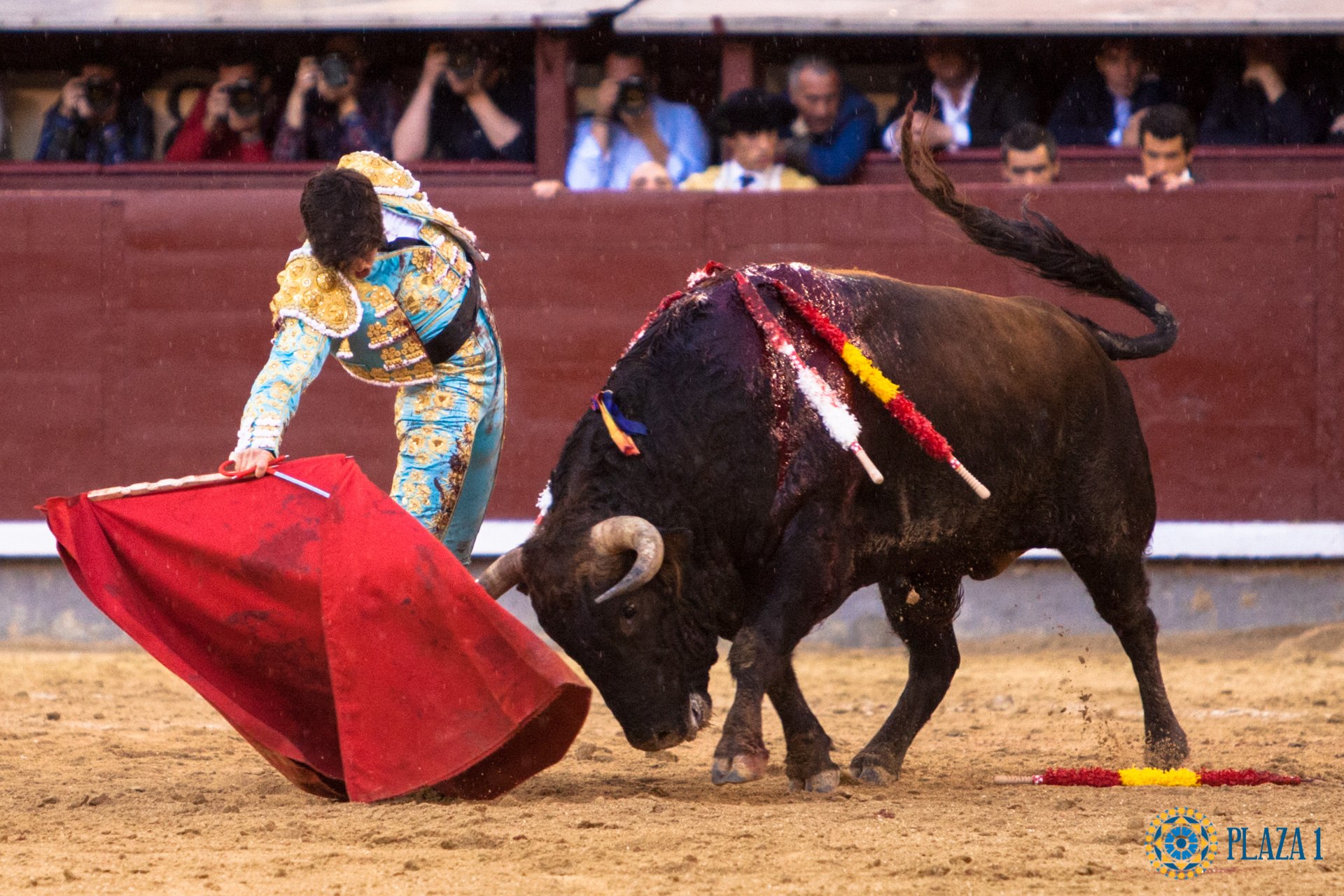 Carlos ochoa 8 mai