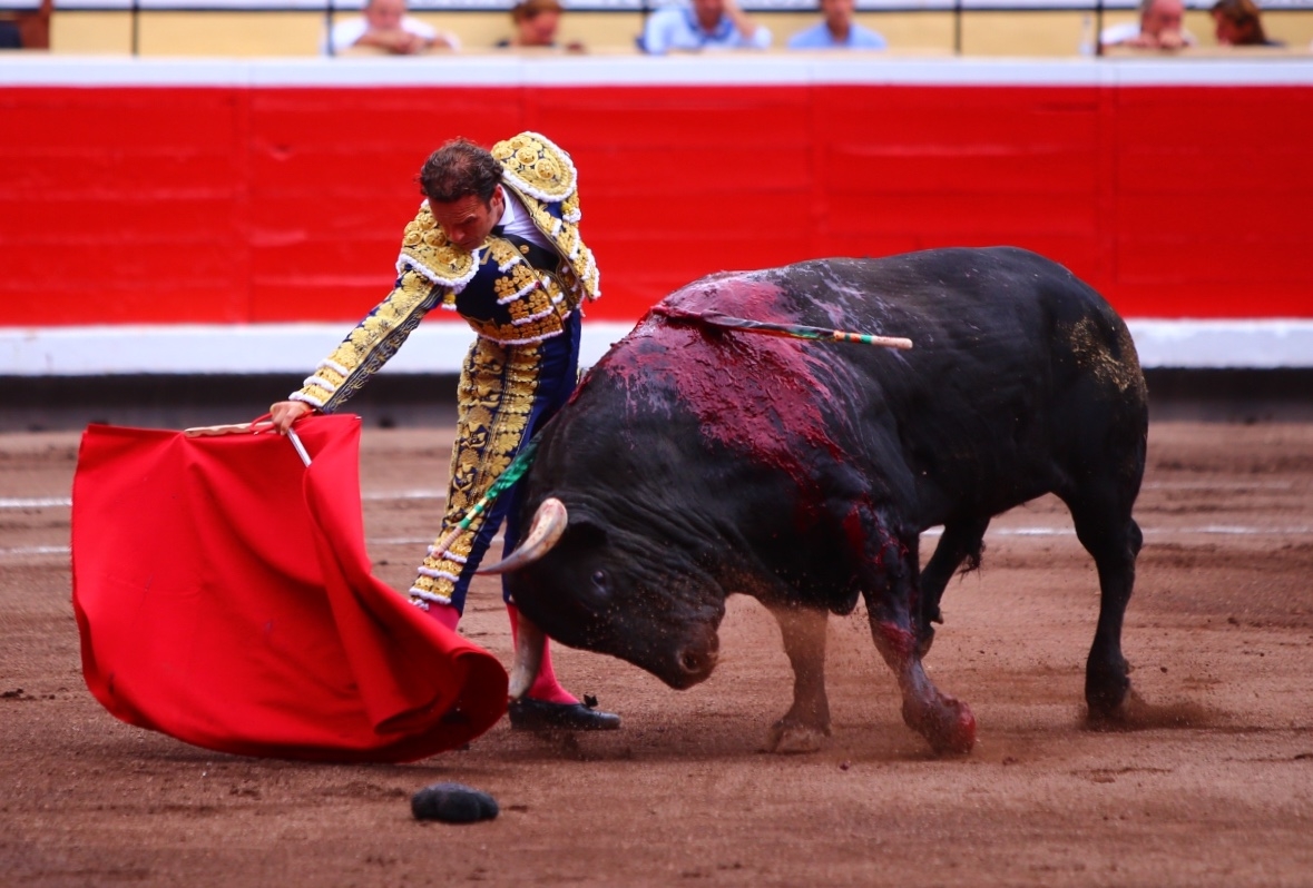 Cultoro antonio ferrera bilbao