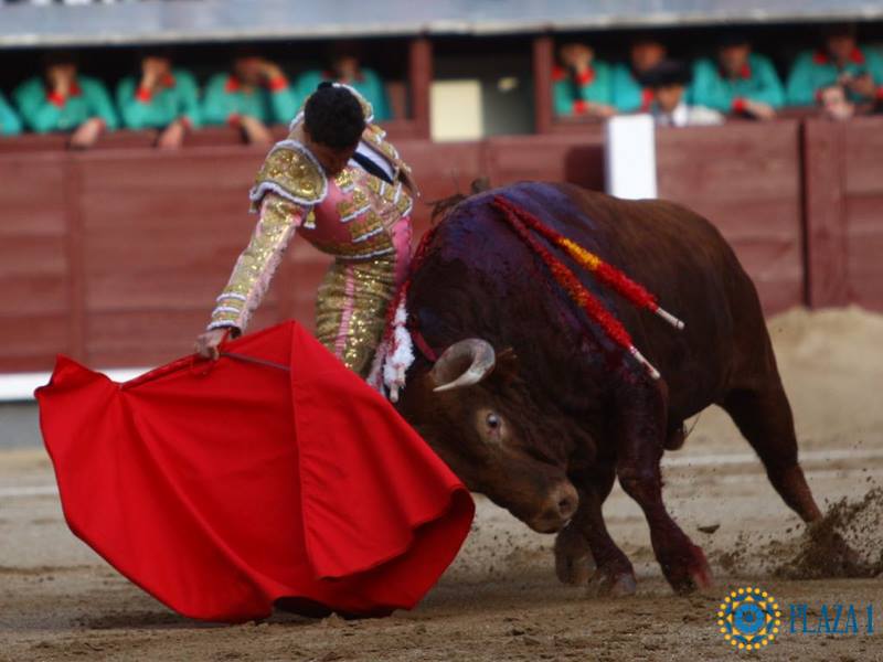 Daniel luque 11 mai