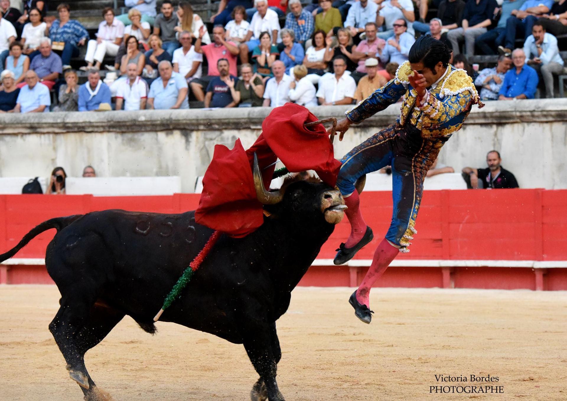 Diego san roman nimes 2018