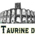 Ecole taurine arles