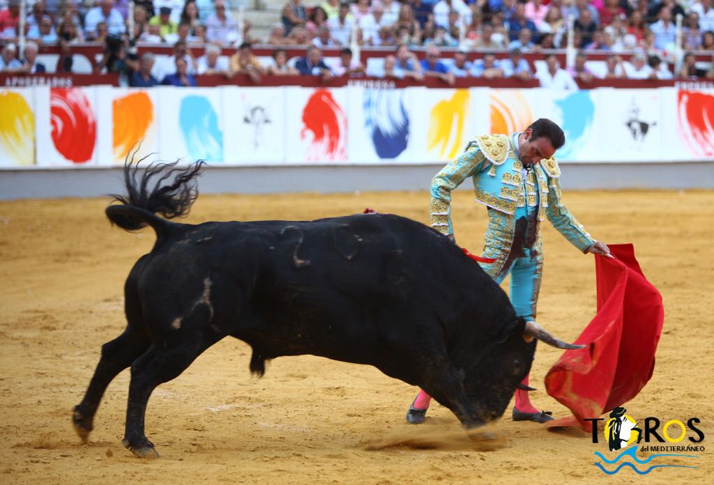 Enrique ponce malaga