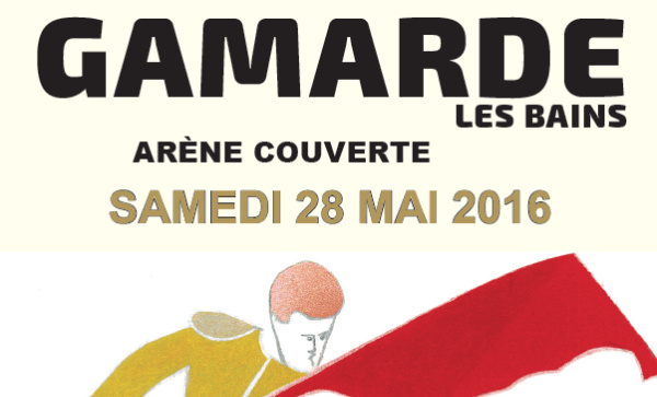 Gamarde affiche png