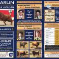 Garlin 8 avril flyer page 001